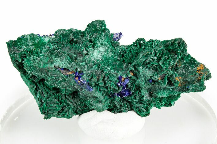 Fibrous Green Malachite with Blue Azurite - Congo #346127